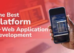 Best Platforms to Purchase Web Application Scripts