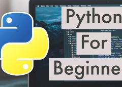 How to Write Your First Python Program