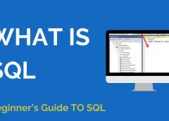 What is SQL? A Beginner’s Guide to Databases