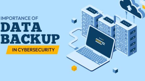 Step by step on WordPress backup & migration