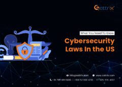 Cybersecurity Laws Everyone Should Know